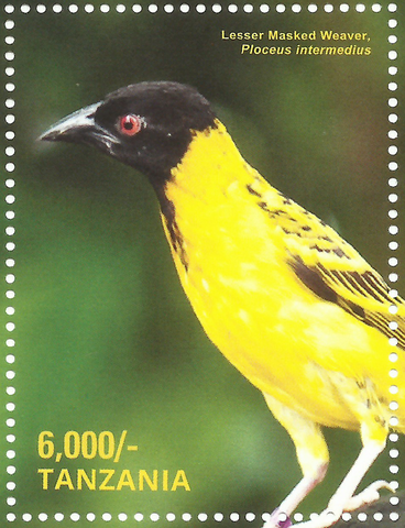 Lesser Masked - Philately Tanzania stamps