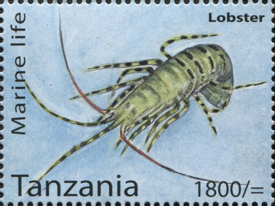 Marine Life - Lobster - Philately Tanzania stamps