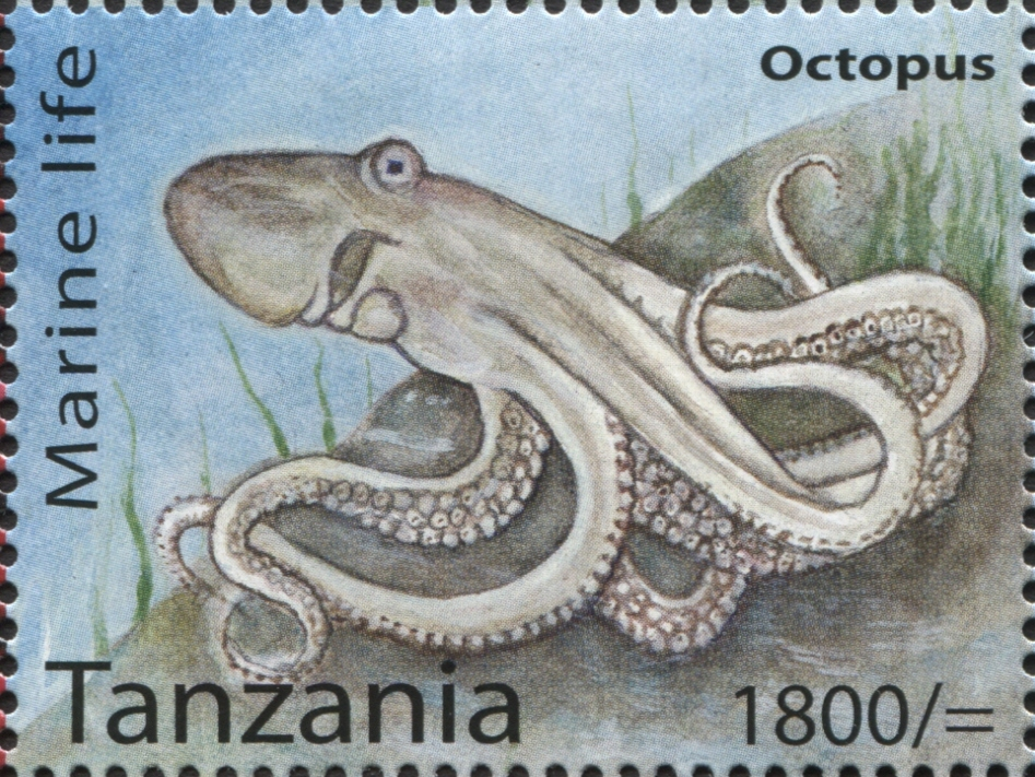 Marine Life - Octopus - Philately Tanzania stamps