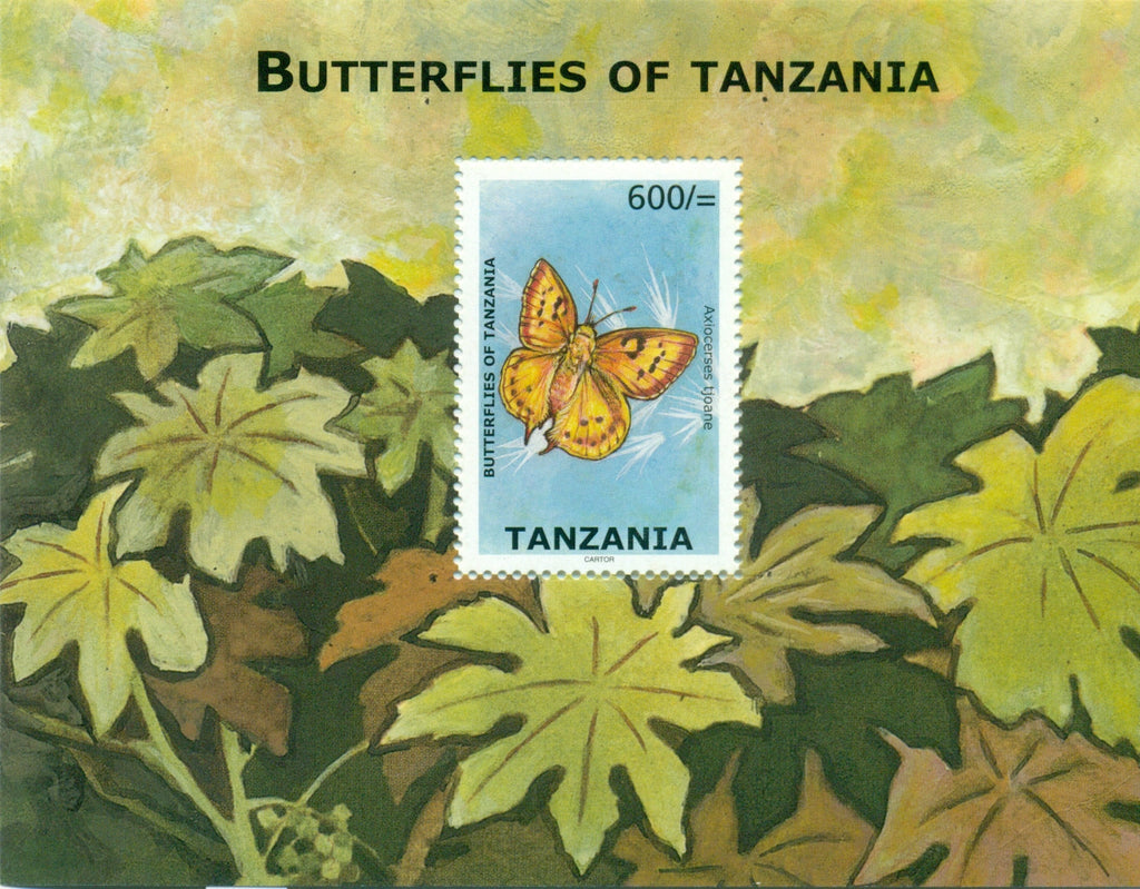 Butterflies of Tanzania - Axiocerses tjoane - Souvenir - Philately Tanzania stamps