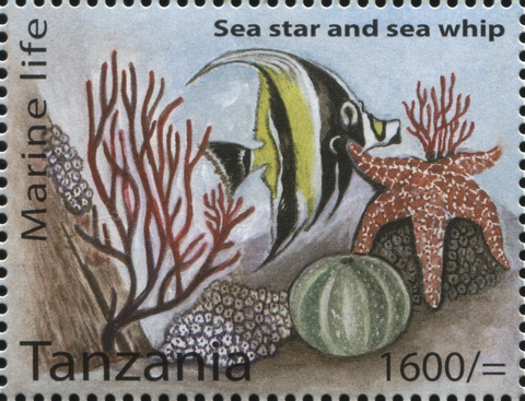 Marine Life - Sea star - Philately Tanzania stamps