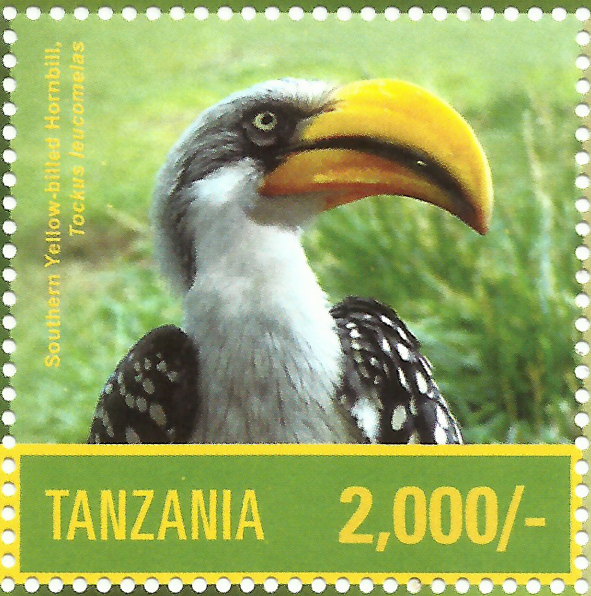 Southern Yellow BilledHornbill - Philately Tanzania stamps