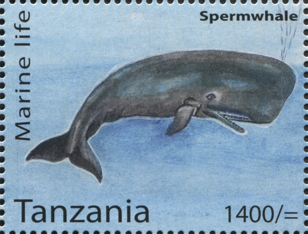 Marine Life - Sperm Whale - Philately Tanzania stamps
