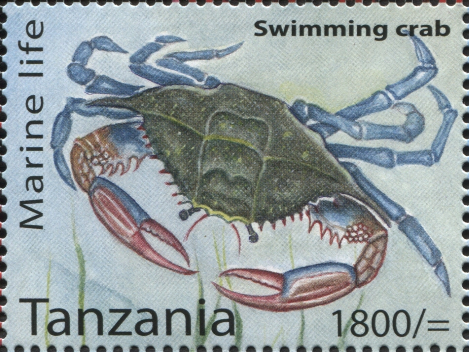 Marine Life - Swimming crab - Philately Tanzania stamps