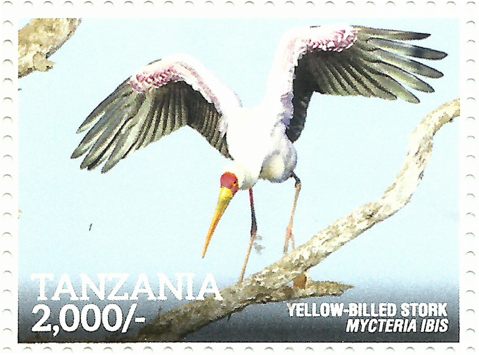 Yellow- Billed Stork - Philately Tanzania stamps